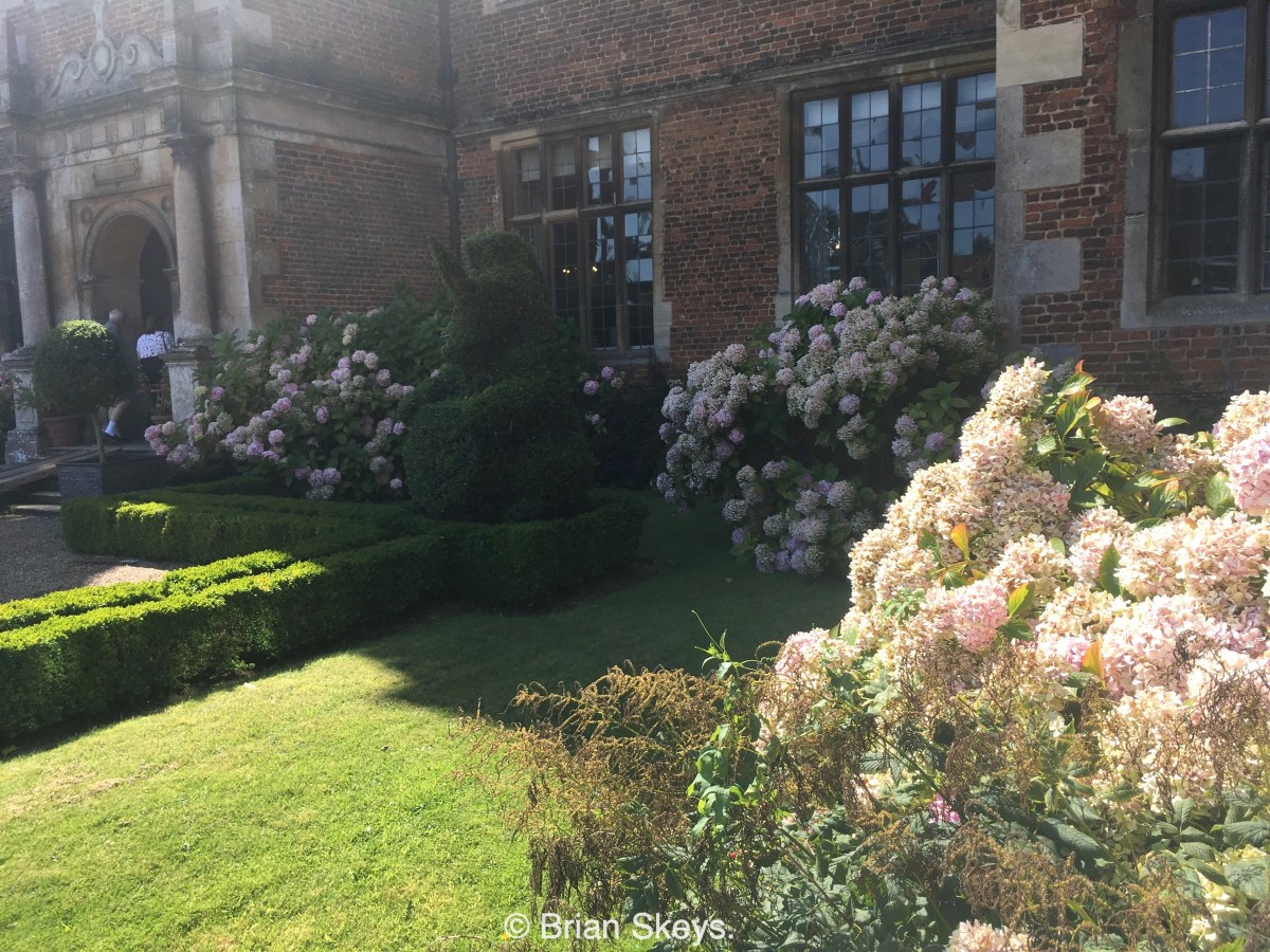 Doddington Hall Garden Visit and Growing Bearded&nbsp;Iris.