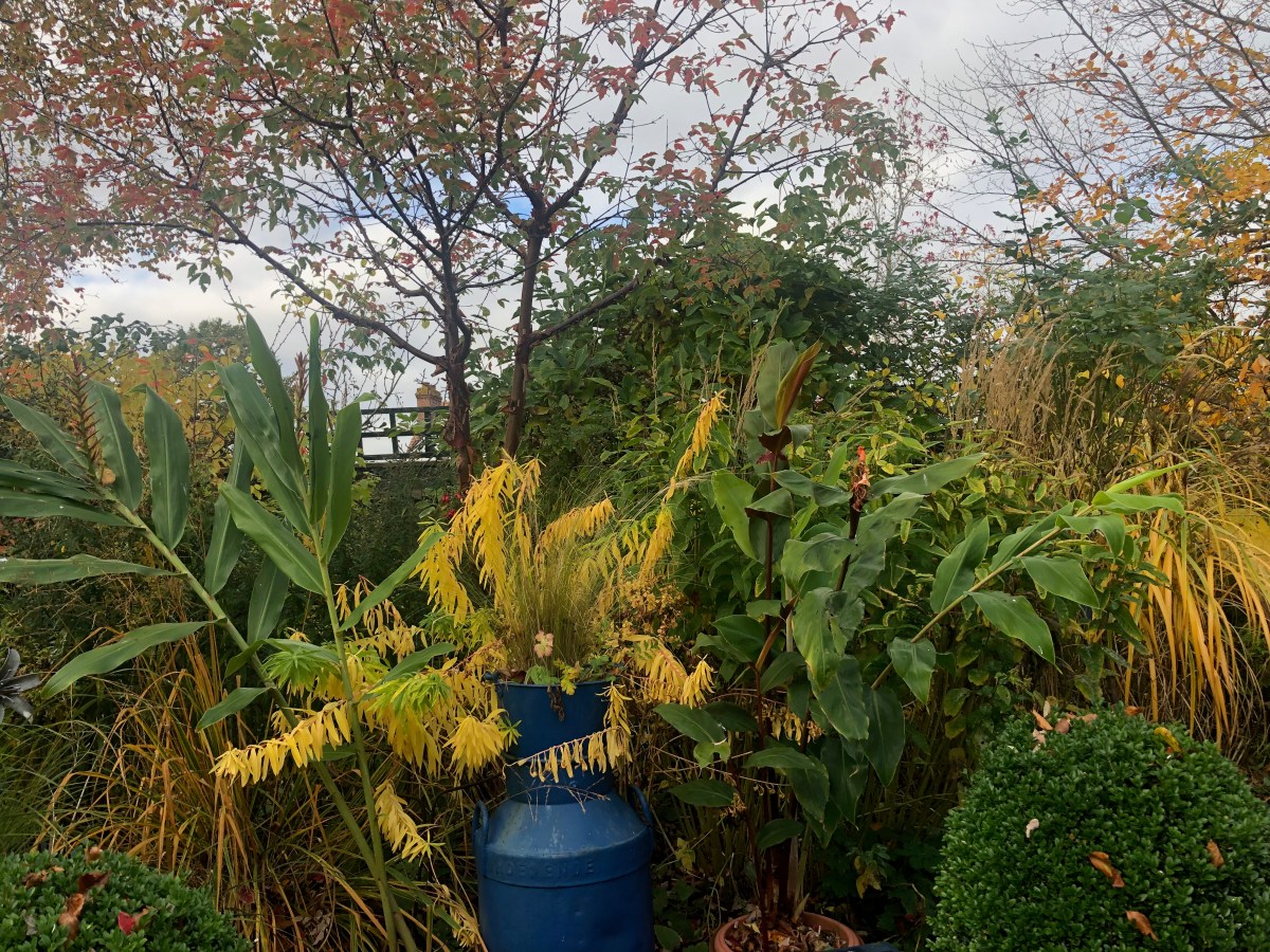 Yellow is the&nbsp;colour…