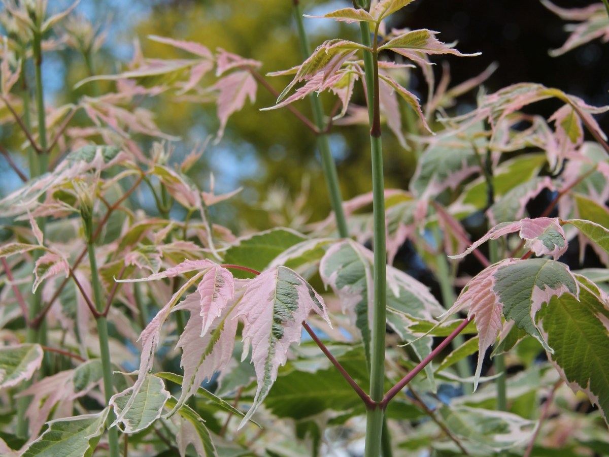A Frosty Morning&nbsp;Workout.