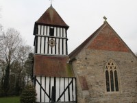 Christmas Tree Festival.
