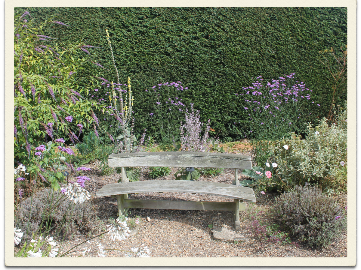 Drought Tolerant Gardens.