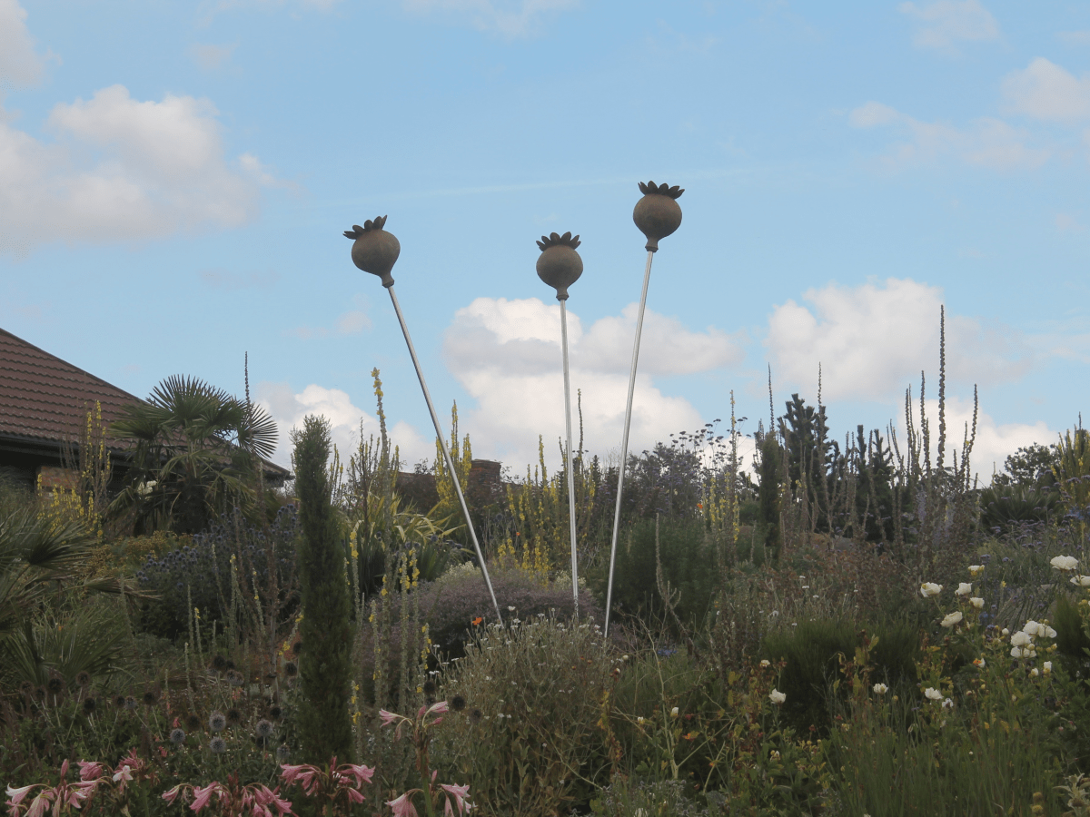 Drought Tolerant Gardens&nbsp;2