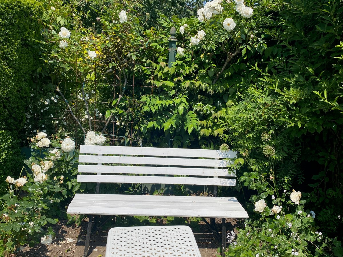 Redesigning the White and Green&nbsp;garden.