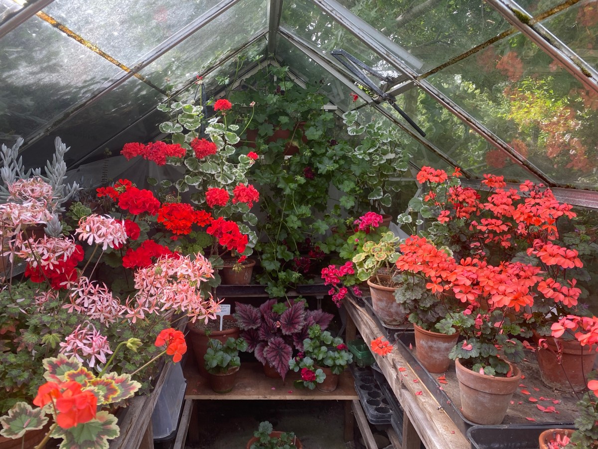 Preparing Our Greenhouses for Winter Plant&nbsp;Care.