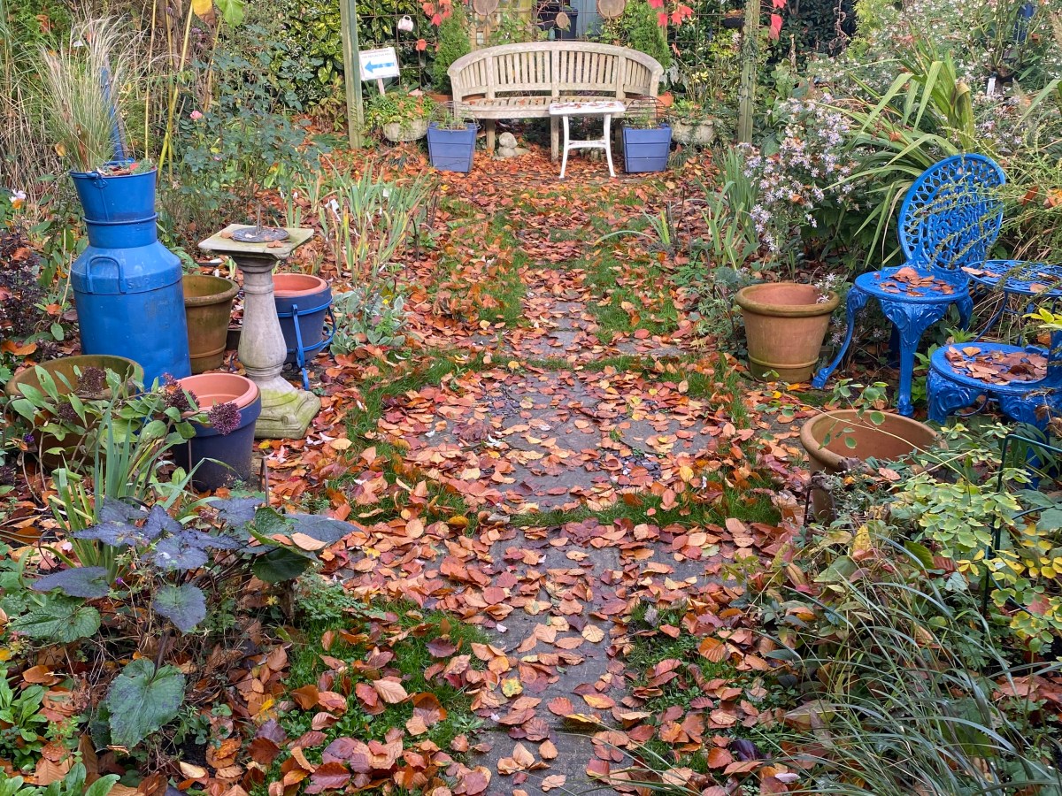 Exploring Autumn’s Garden&nbsp;Beauty.