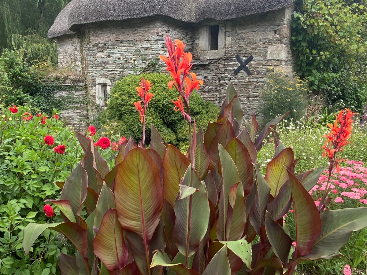 Journal.A Week in Cornwall: Cottages, Gardens, and&nbsp;Coastline.