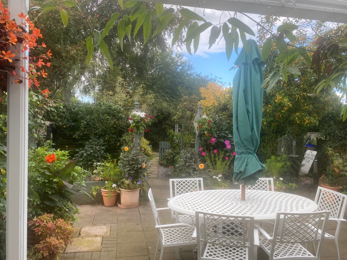 Capturing Autumn: A Garden Photo&nbsp;Collection