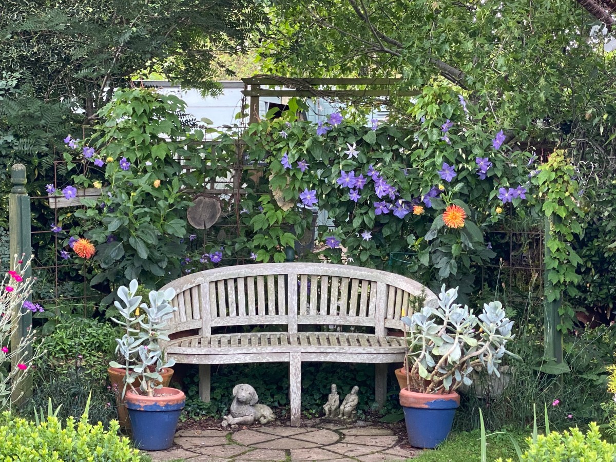 From the Garden Bench.             Articles for the Parish&nbsp;Link.